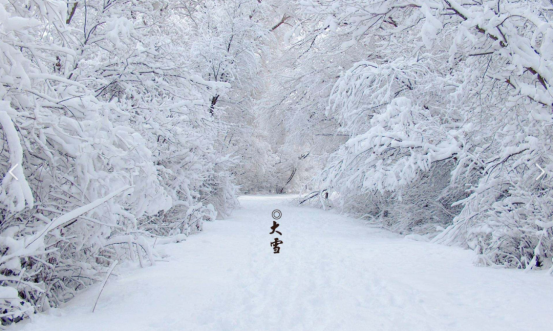 大雪：深冬启幕，瑞雪丰年